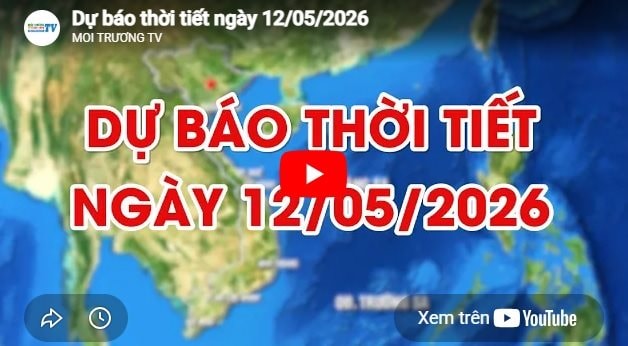 Dự báo thời tiết ngày 12/05/2026: Ngày nắng, chiều tối có mưa rào và dông 