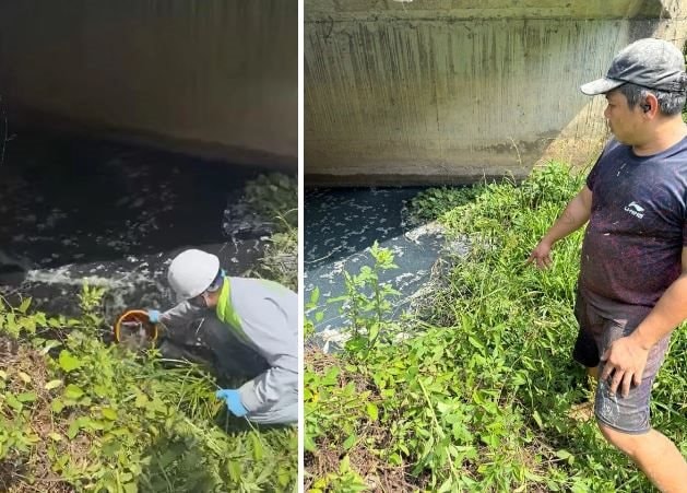 Phát hiện cơ sở chế biến mủ cao su xả nước thải chưa xử lý ra môi trường tại Đồng Nai 