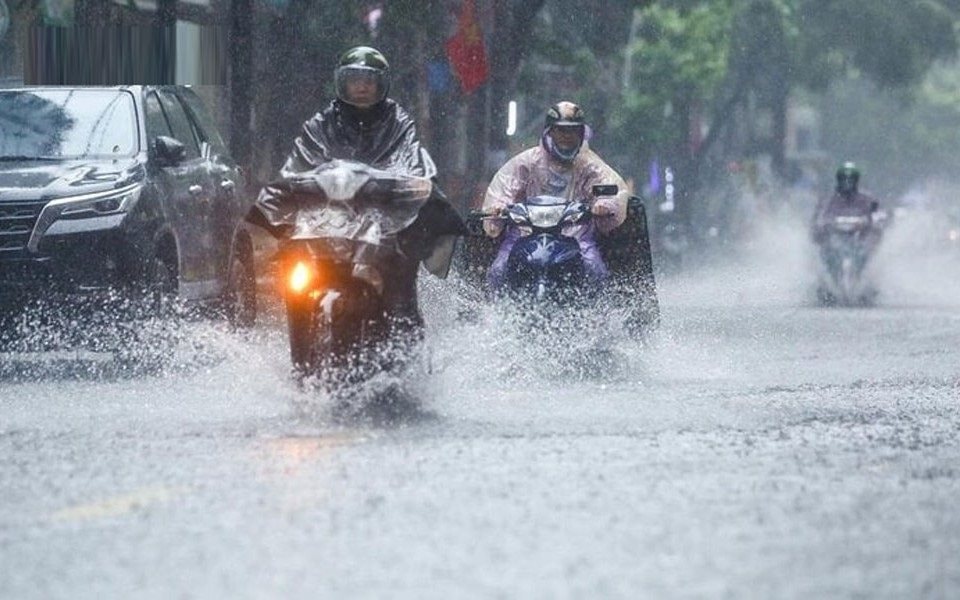 tt.jpg