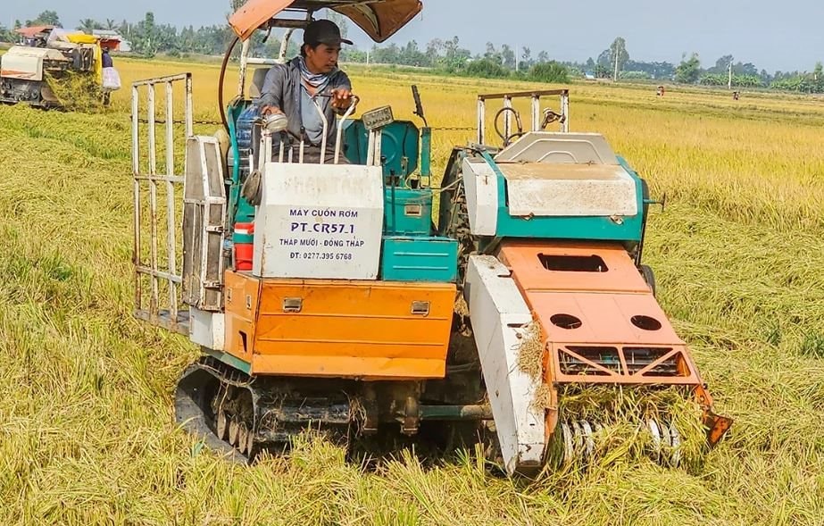 El Nino và căng thẳng Trung Đông gây áp lực lên ngành lúa gạo Philippines 