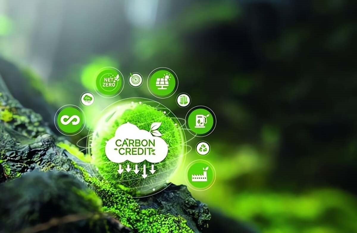 143849thi-truong-carbon-1435.jpg