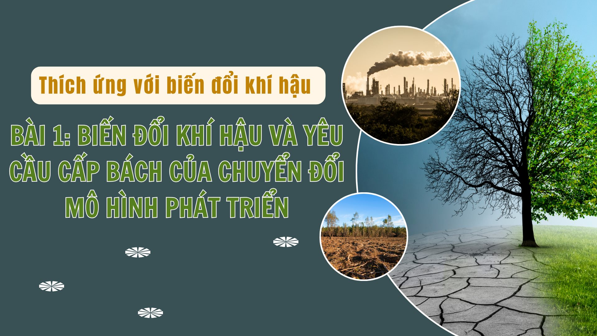 bien-doi-khi-hau.png