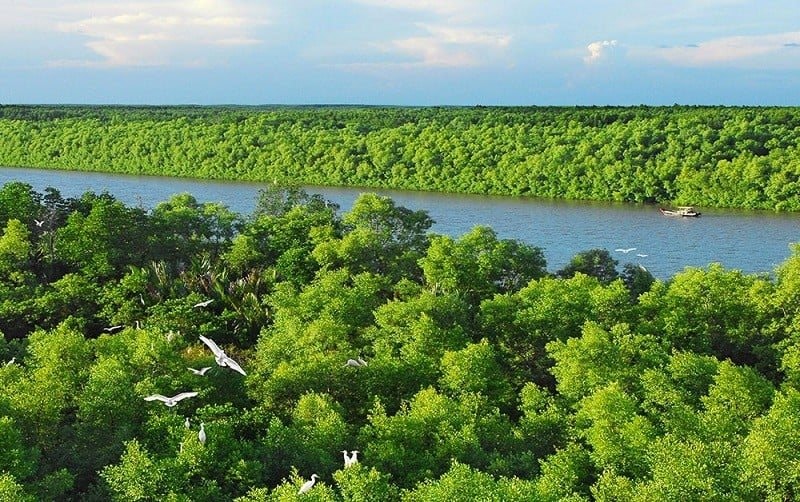 Hải Phòng phát động bảo vệ môi trường, đa dạng sinh học năm 2026