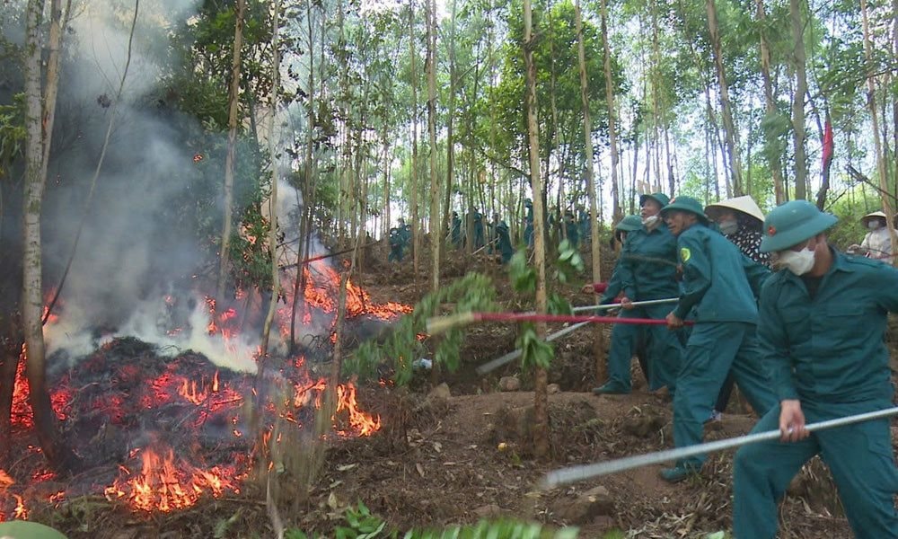 Bắc Ninh nâng cảnh báo cháy rừng lên cấp IV, siết chặt công tác phòng cháy chữa cháy
