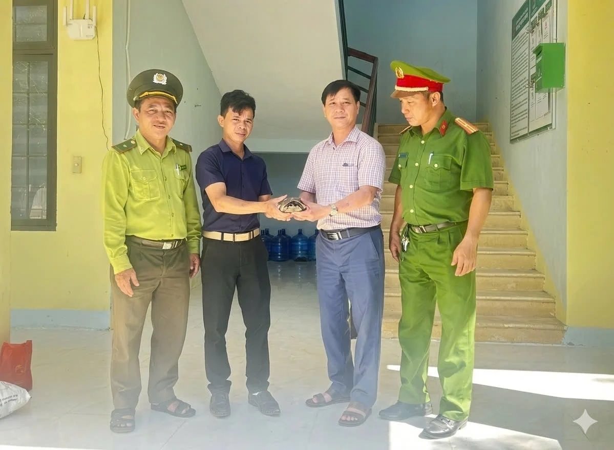 Quảng Ngãi: Thả 2 cá thể động vật hoang dã quý hiếm về rừng tự nhiên 