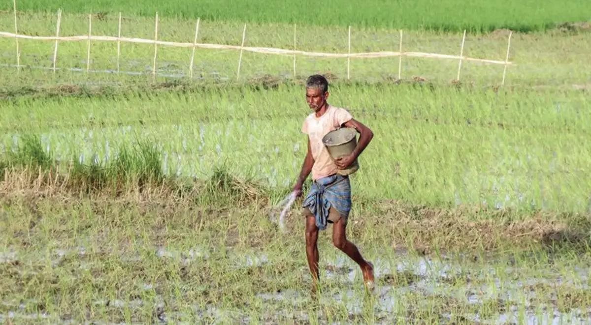 El Nino đe dọa mùa mưa, Ấn Độ lo áp lực lạm phát và suy giảm tăng trưởng 