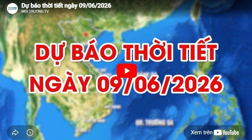 Dự báo thời tiết ngày 09/06/2026: Đêm và sáng có mưa vừa, mưa to và dông 
