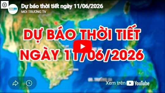 Dự báo thời tiết ngày 11/06/2026: Ngày nắng, đêm có mưa rào vài nơi