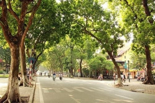 Dự báo thời tiết Hà Nội ngày 12/06/2026: Đêm có mưa rào và dông vài nơi, ngày nắng