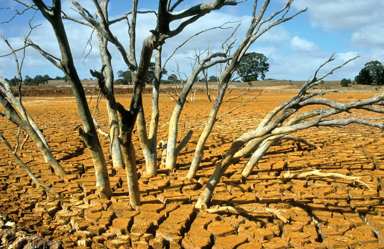 el-nino-cg.jpg
