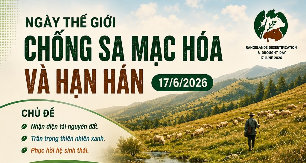 [Infographic] Ngày Thế giới chống sa mạc hóa và hạn hán: Nhận diện, trân trọng và phục hồi 