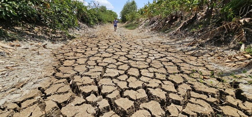 El Niño trở lại: Nông nghiệp Việt Nam đối mặt nguy cơ hạn hán, thiếu nước 