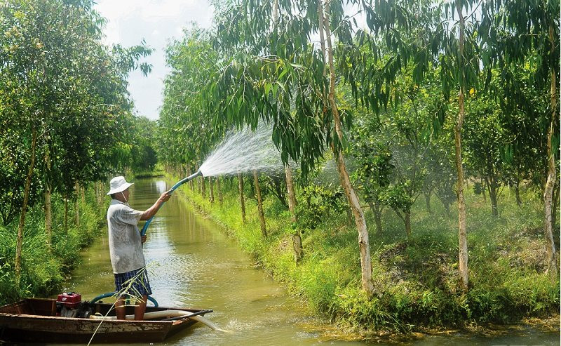 nc-ngam.jpg