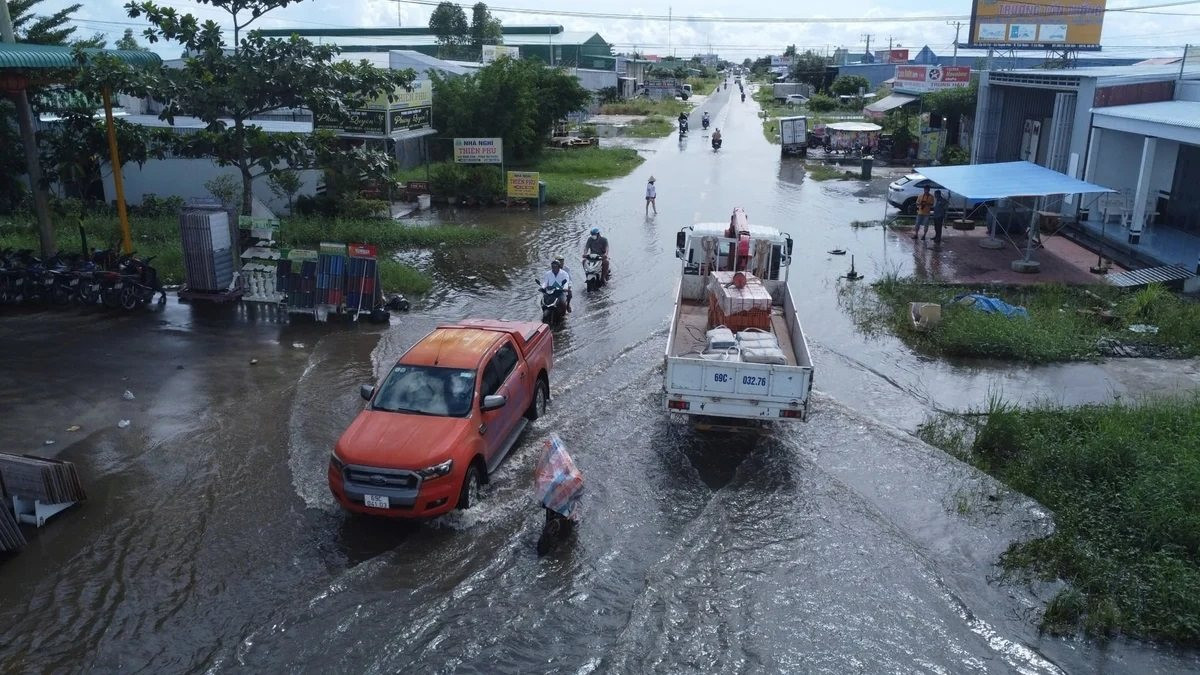 Cà Mau triển khai đồng bộ giải pháp ứng phó thiên tai năm 2026 