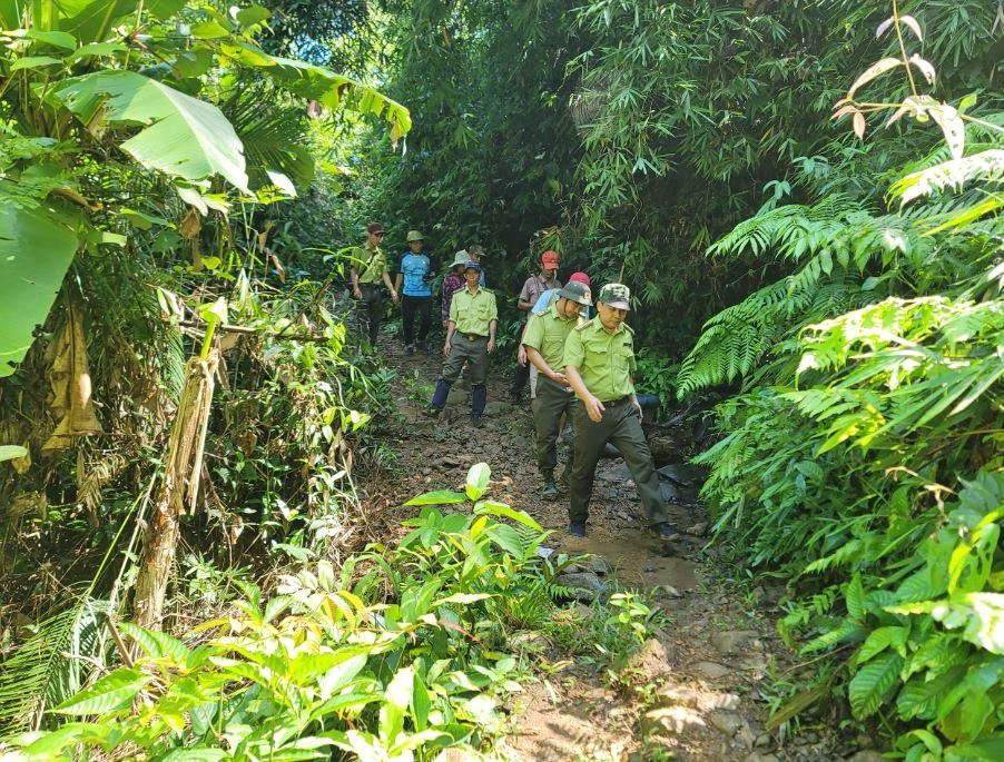 Chi trả dịch vụ môi trường rừng góp phần bảo vệ rừng và nâng cao sinh kế ở Lâm Đồng 