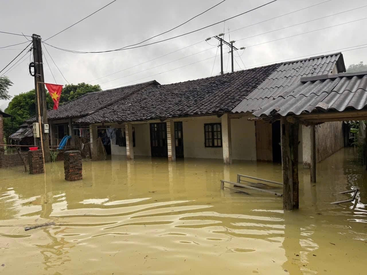 thiet-hai.jpg