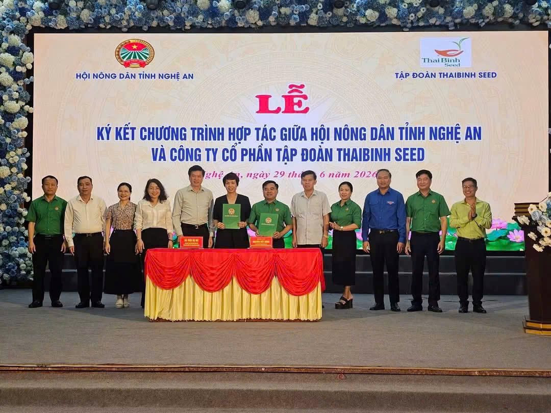 thaibinhe.jpg