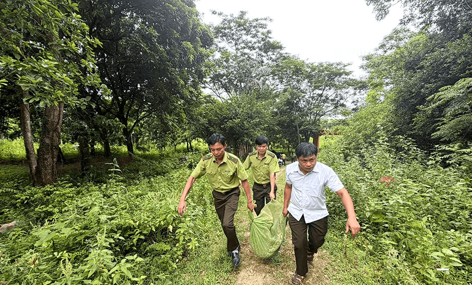 Thu giữ 64 cá thể động vật hoang dã nuôi nhốt trái phép, tái thả về tự nhiên