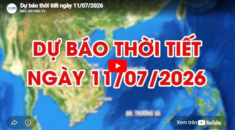 Dự báo thời tiết ngày 11/7/2026: Có mưa, mưa vừa và rải rác có dông 