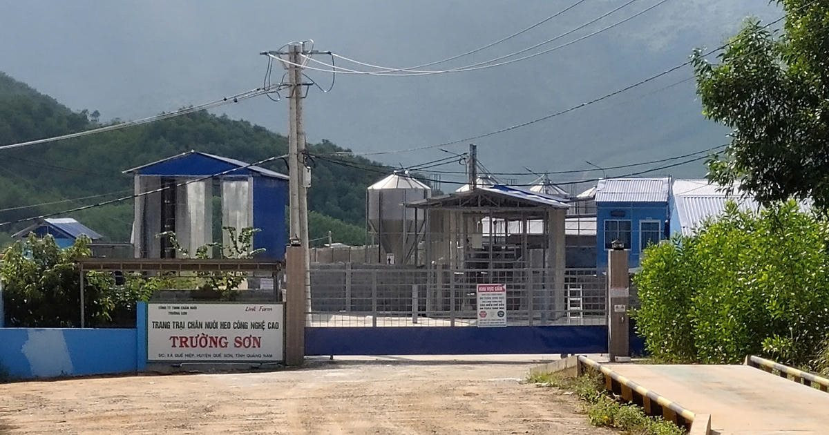 da-nang.jpg