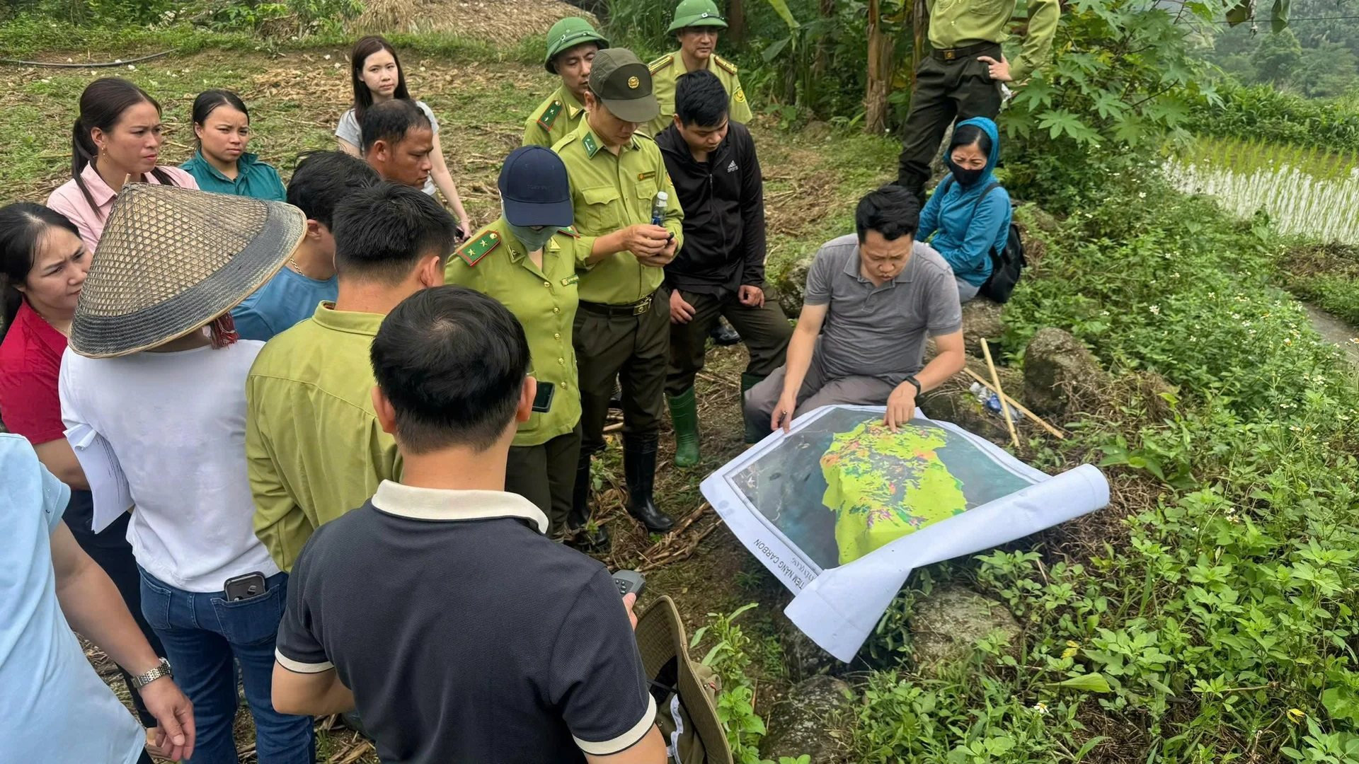 Tuyên Quang triển khai mô hình tương trợ vốn, thúc đẩy phát triển dự án carbon rừng 