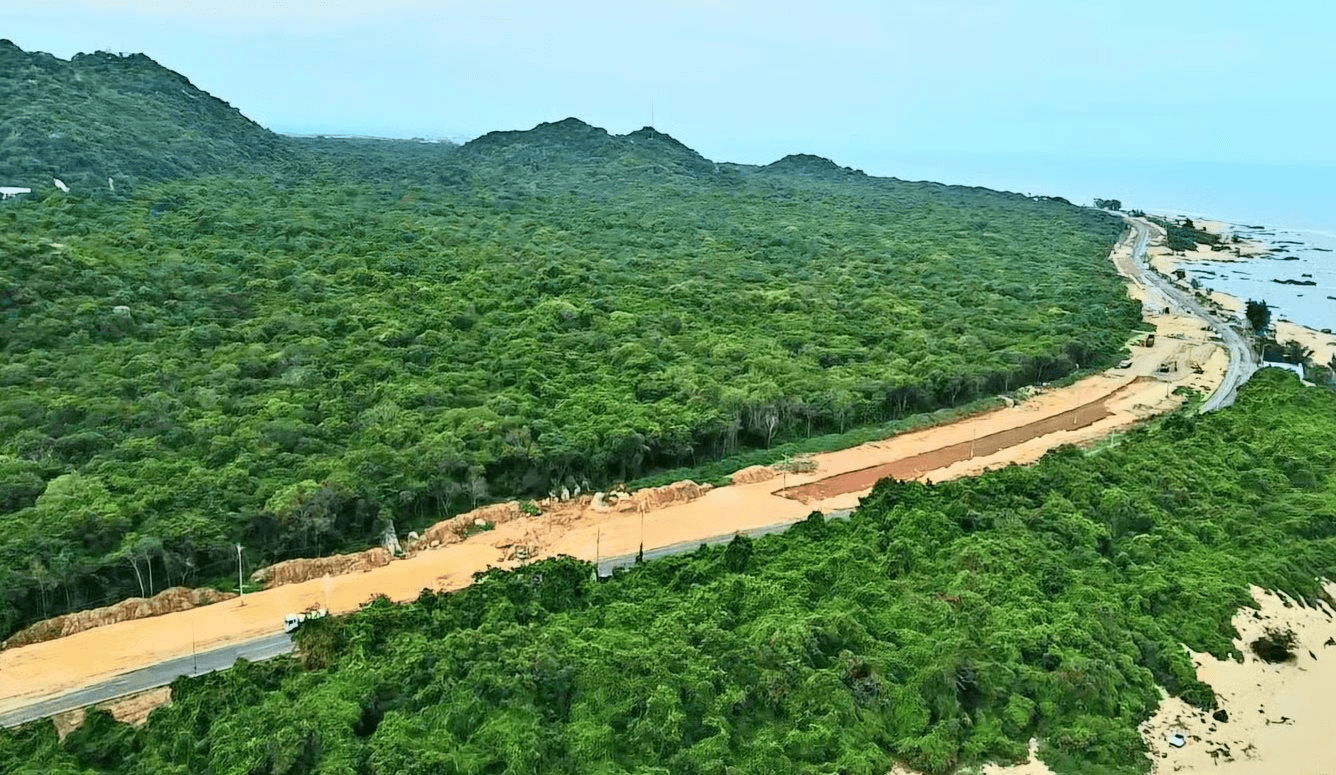 Cánh rừng nguyên sinh hiếm hoi đang gìn giữ hàng trăm loài động, thực vật 