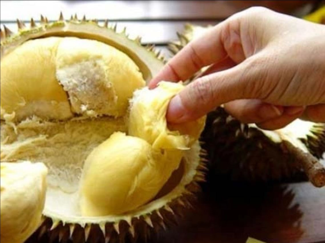 Sầu riêng - loại quả được mệnh danh là 