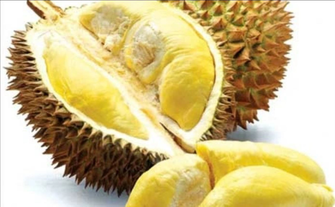 srieng.jpg