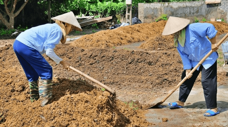 Biến phụ phẩm nông nghiệp thành tài nguyên: Dư địa lớn cho tăng trưởng xanh 