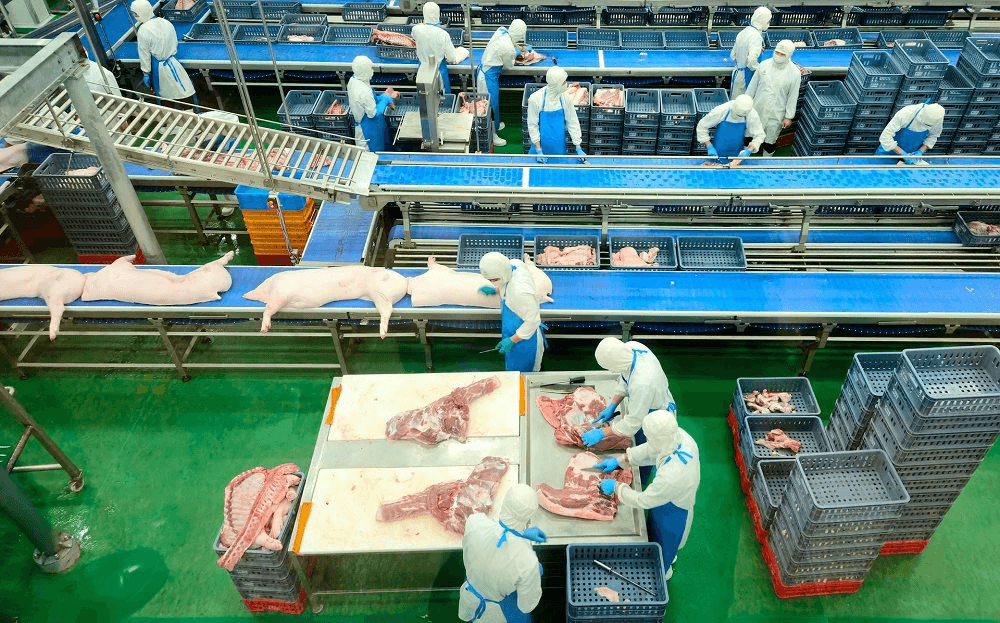 Hà Nội tháo điểm nghẽn quản lý giết mổ, siết an toàn thực phẩm 