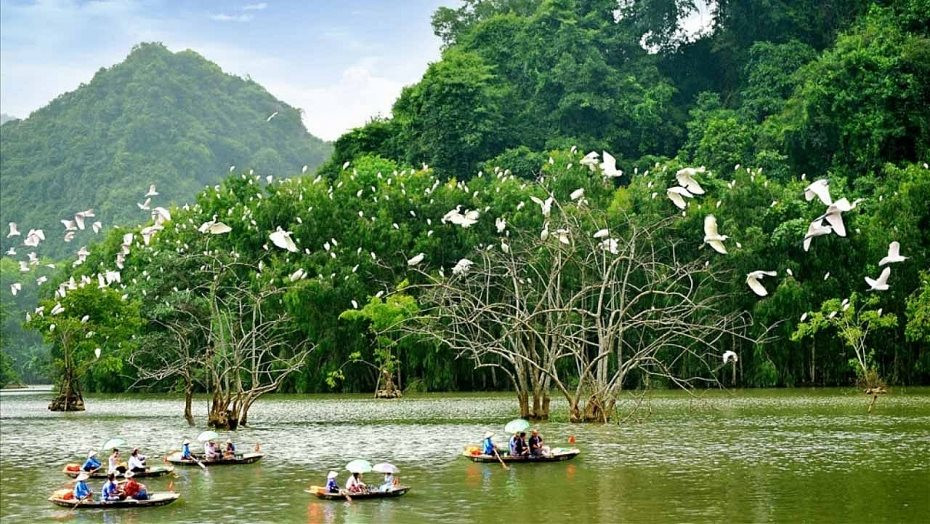 1917_thung-nham-ninh-binh.jpg