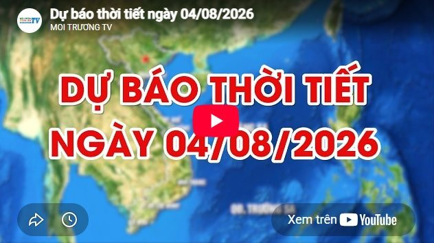 Dự báo thời tiết ngày 4/8/2026: Có mưa rào và rải rác có dông