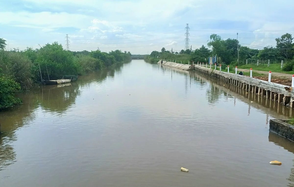 Hải Phòng siết chặt xử lý vi phạm thủy lợi, đê điều 