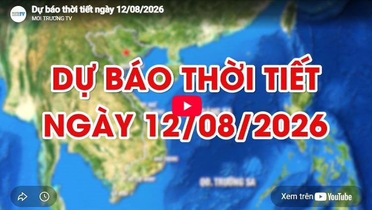Dự báo thời tiết ngày 12/8/2026: Nắng nóng gay gắt 