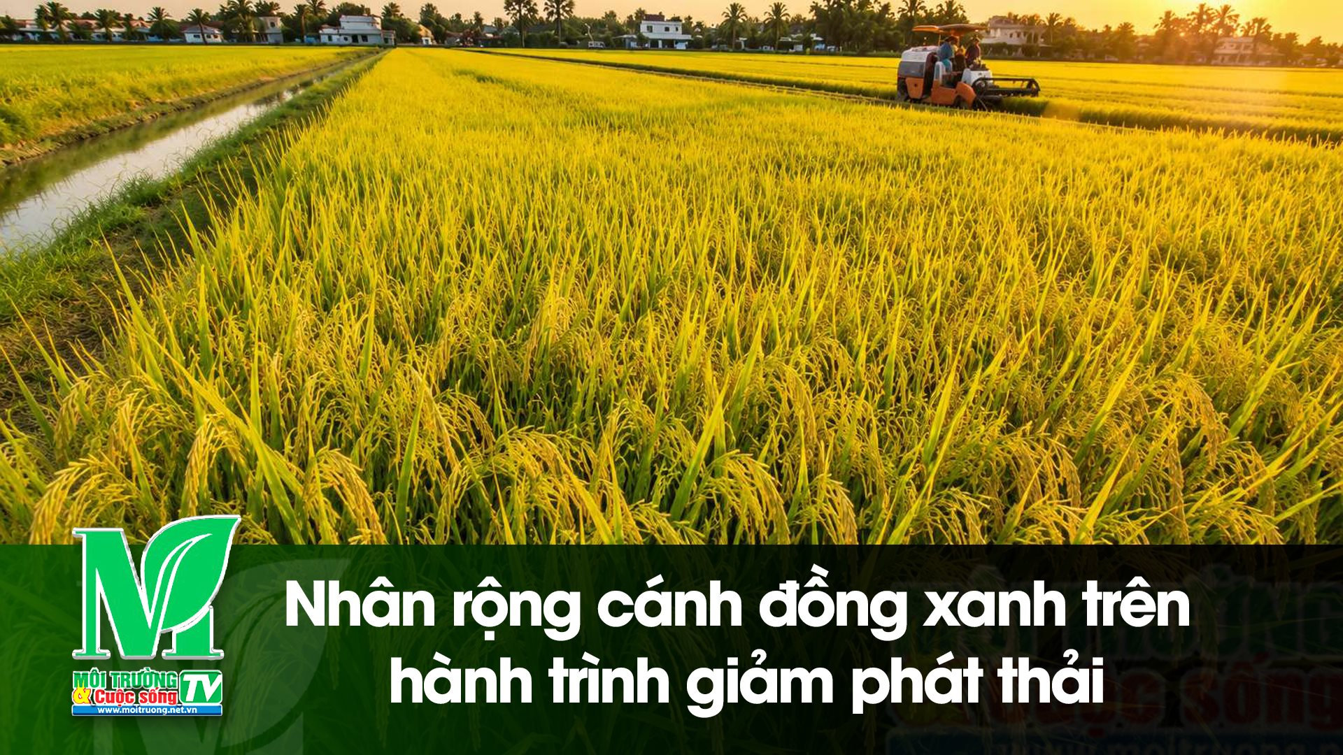 [VIDEO] Nhân rộng cánh đồng xanh trên hành trình giảm phát thải 