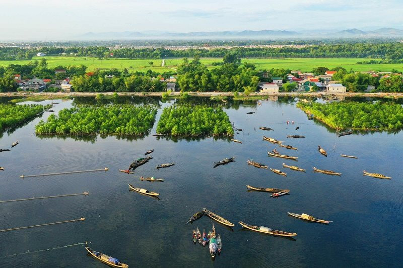 Phục hồi hệ sinh thái đất ngập nước 