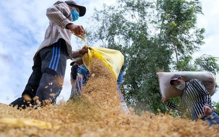El Nino lập kỷ lục, thế giới đối mặt khủng hoảng lương thực 