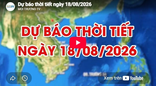 Dự báo thời tiết ngày 18/8/2026: Ngày có mưa vừa, mưa to 