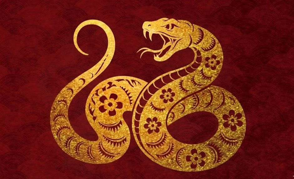 Xem tử vi hôm nay, tử vi 12 con giáp ngày 20/8/2026: Tuổi Tỵ bứt phá ngoạn mục, tuổi Tý đón tài lộc bất ngờ 