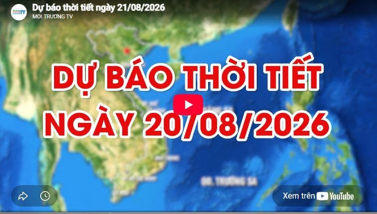 Dự báo thời tiết ngày 20/8/2026: Mưa to và dông, cục bộ có nơi mưa rất to 
