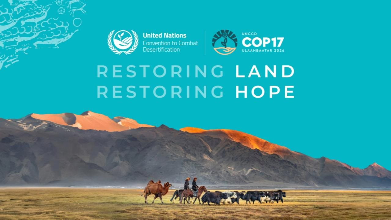 cop17.jpeg