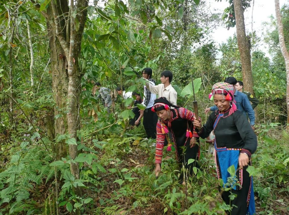 Việt Nam tại UNCCD COP17: Mở rộng nguồn lực tài chính cho phục hồi rừng, đất đai 