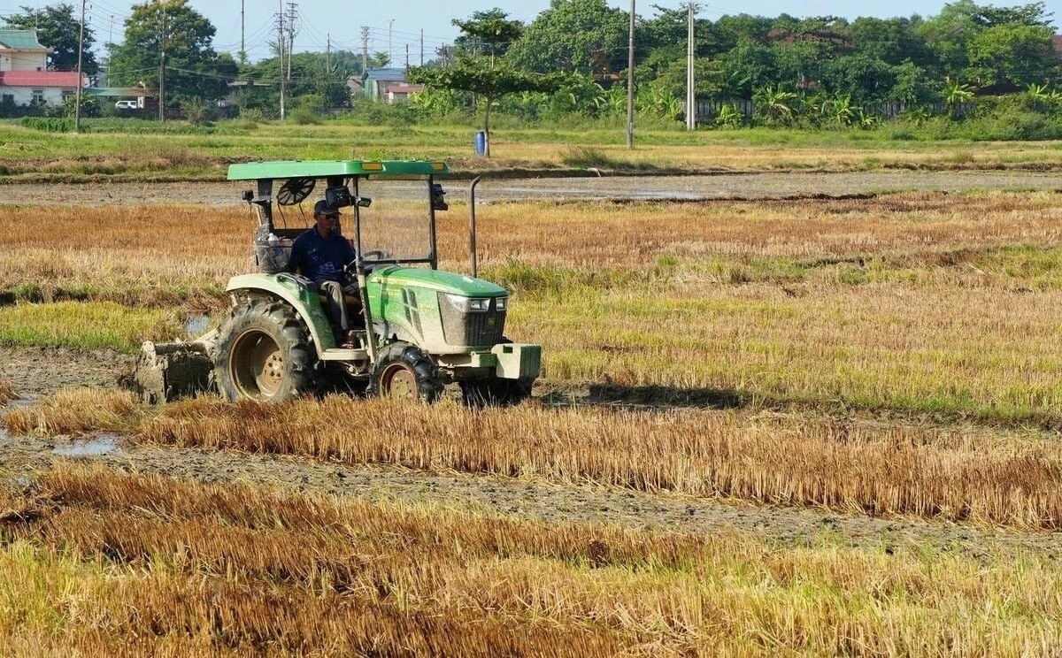 Cần Thơ chủ động ứng phó El Niño, xây dựng kịch bản rủi ro rất cao 