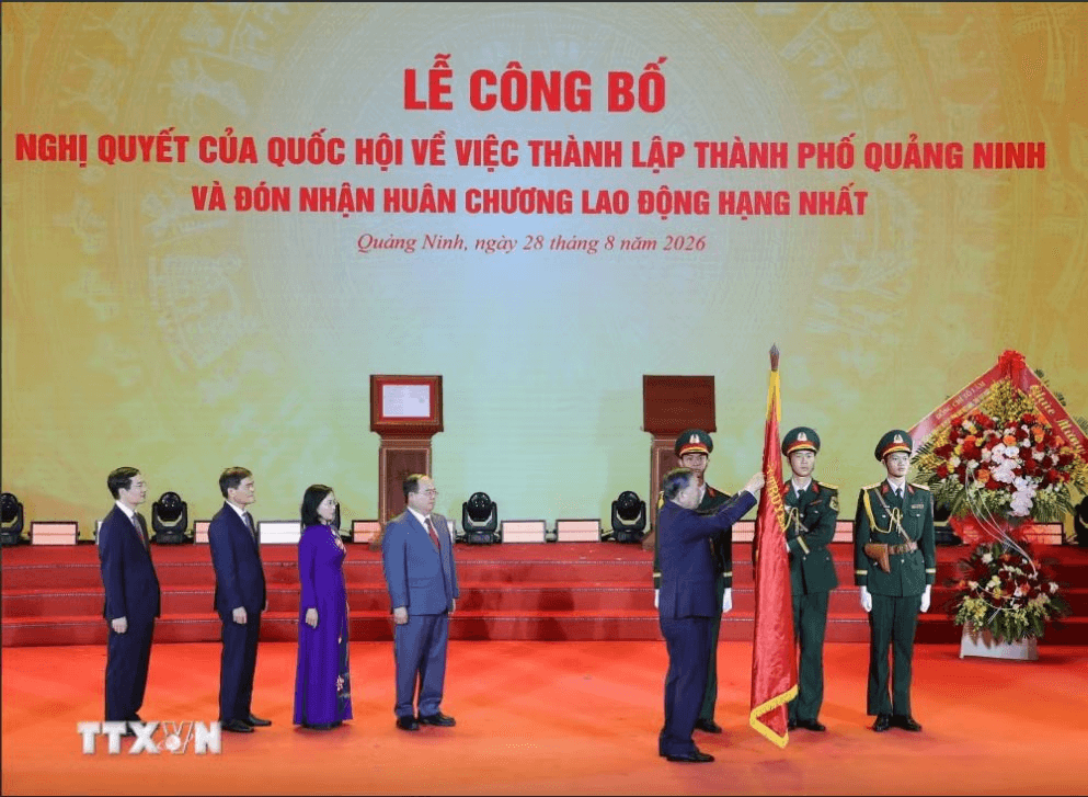 qn2.png