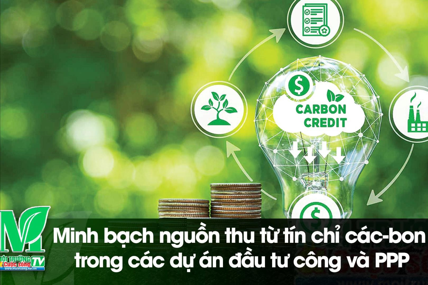 [VIDEO] Minh bạch nguồn thu từ tín chỉ các-bon trong các dự án đầu tư công và PPP 