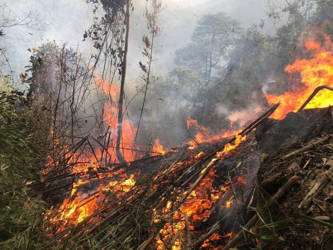 WMO cảnh báo cháy rừng, nắng nóng làm gia tăng ô nhiễm không khí