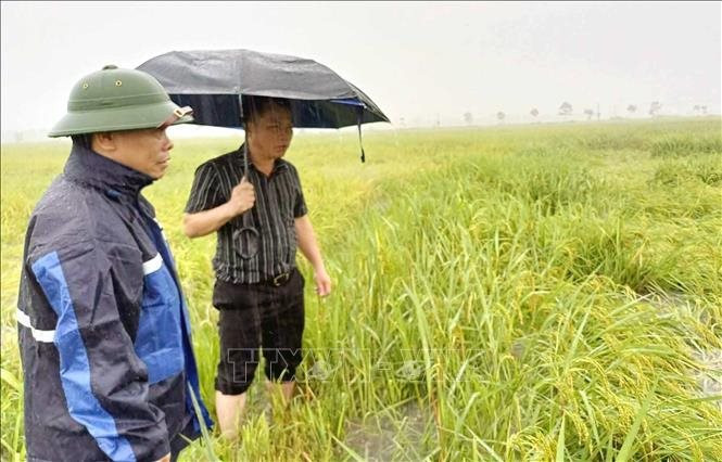 ha-tinh2.jpg