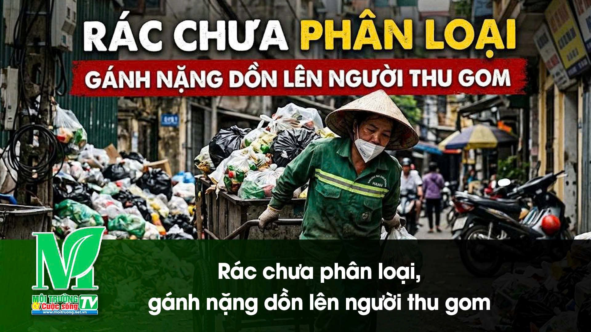 [VIDEO] Rác chưa phân loại, gánh nặng dồn lên người thu gom 