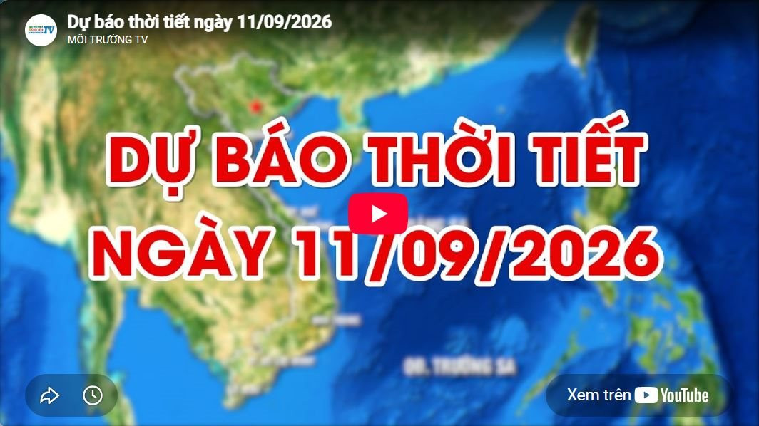 Dự báo thời tiết ngày 11/09/2026: Nhiều mây, đêm và sáng có mưa rào và dông rải rác