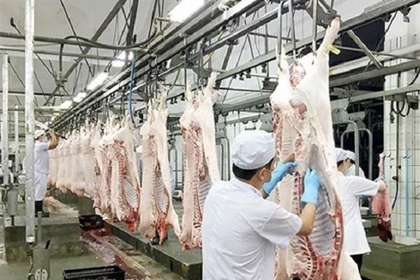 Hà Nội siết kiểm soát môi trường, an toàn thực phẩm từ khâu giết mổ